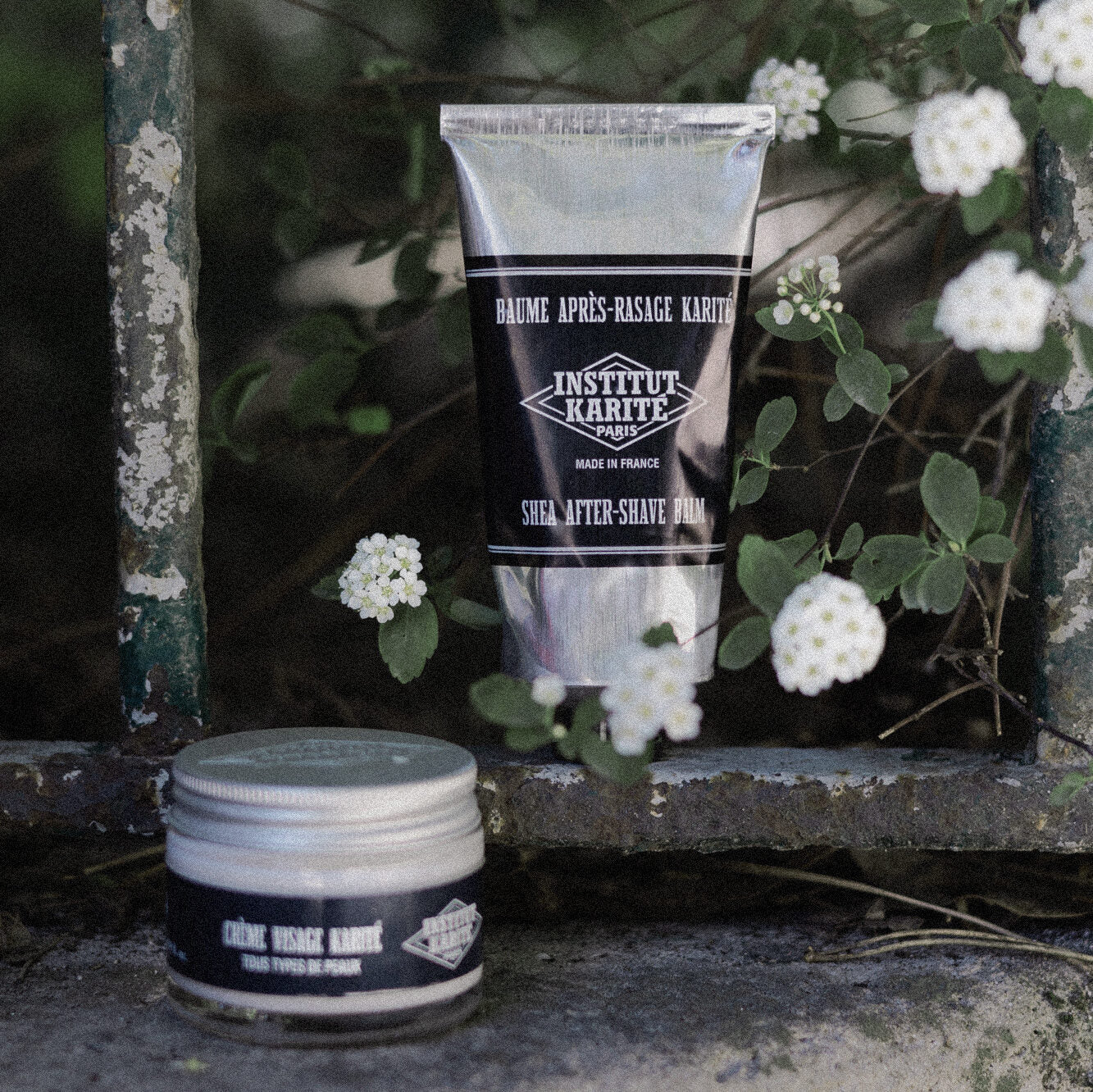 Shea After Shave Balm tube with a Shea Face Cream jar on a stone ledge among white blossom